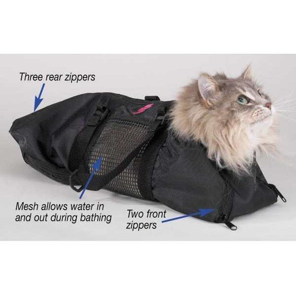 558ce50c388a0d45a402269c7909cd09